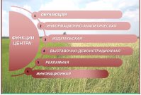 сикц
