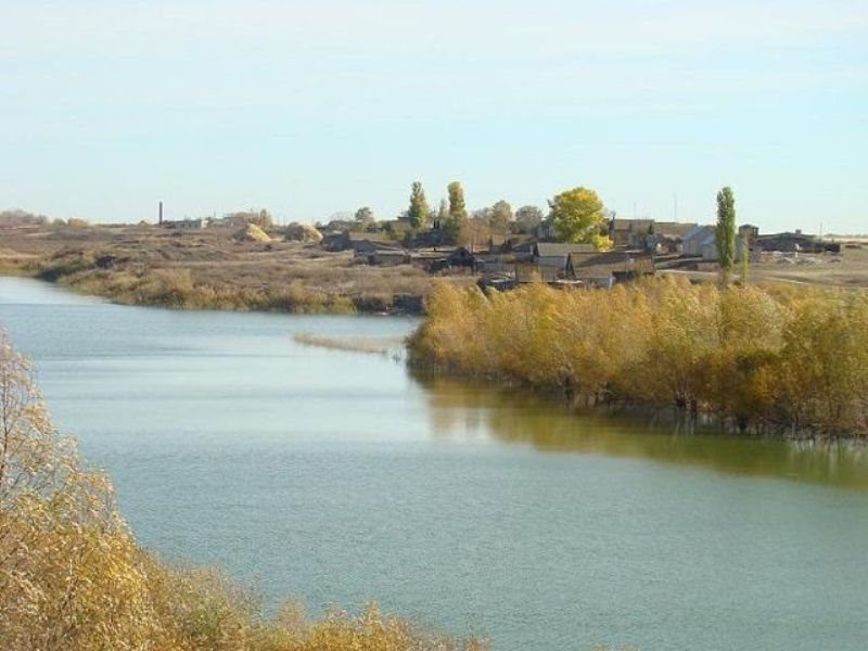 Региональный конкурс поволжье Региональный конкурс поволжье