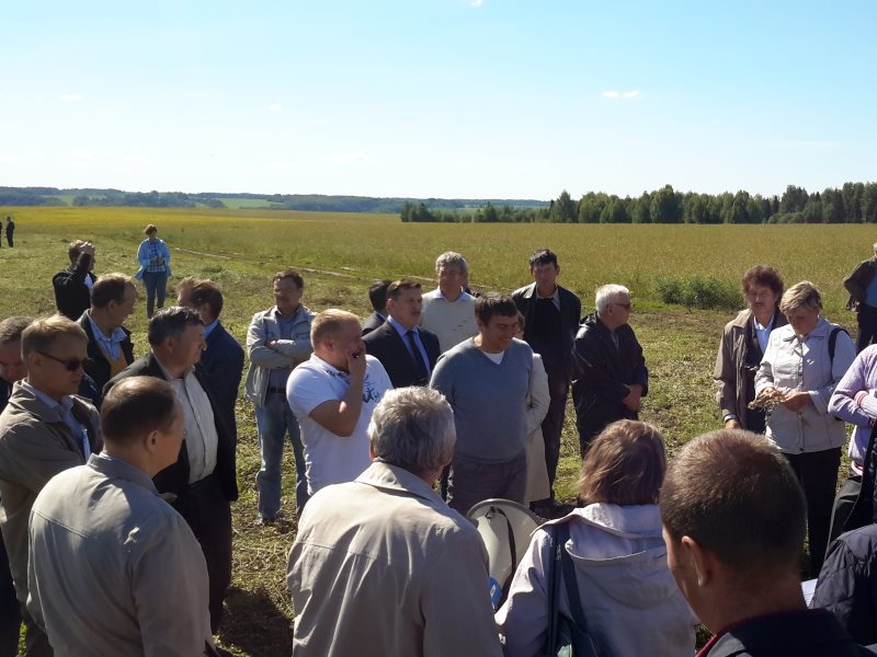 Анализ демонстрационных посевов