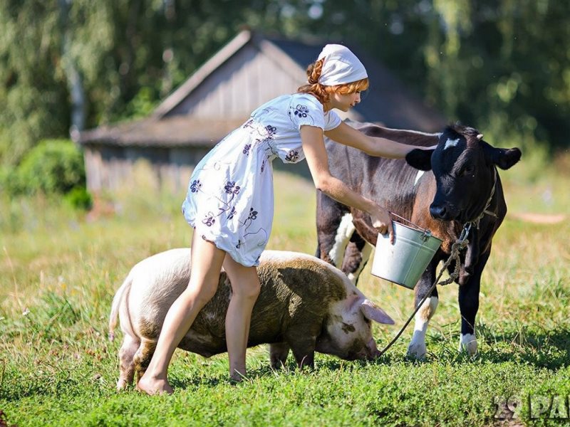 Сельский туризм